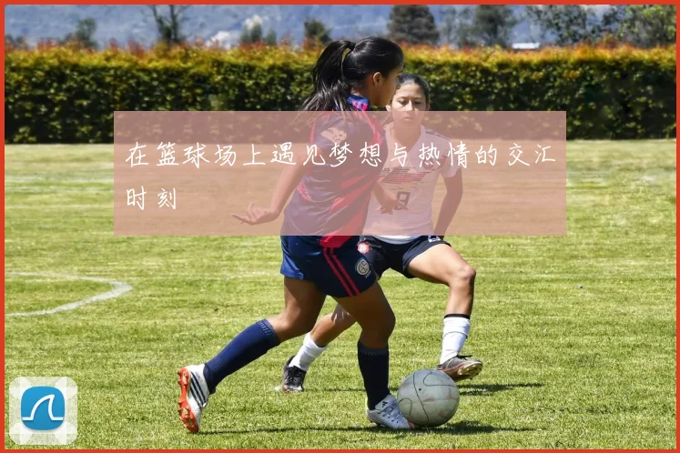 在篮球场上遇见梦想与热情的交汇时刻