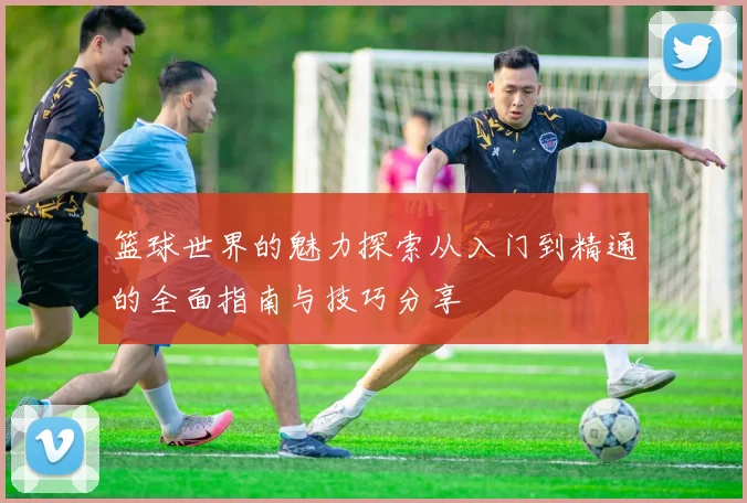 篮球世界的魅力探索从入门到精通的全面指南与技巧分享