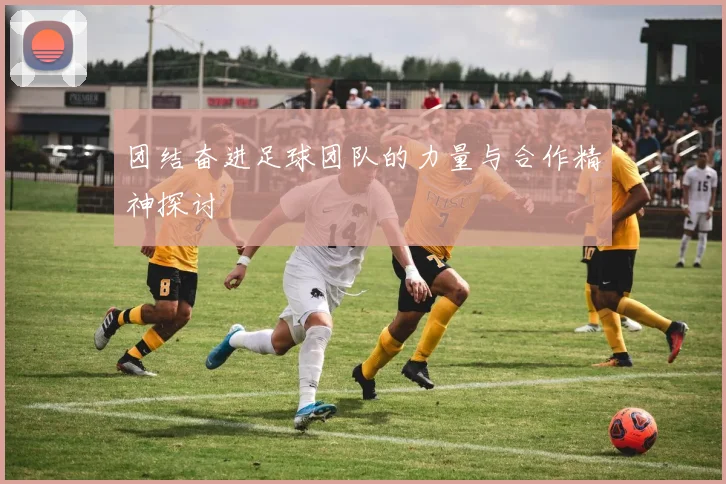 团结奋进足球团队的力量与合作精神探讨